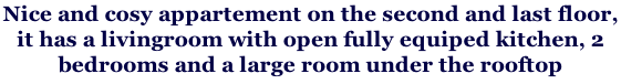Nice and cosy appartement on the second and last floor,  it has a livingroom with open fully equiped kitchen, 2 bedrooms and a large room under the rooftop